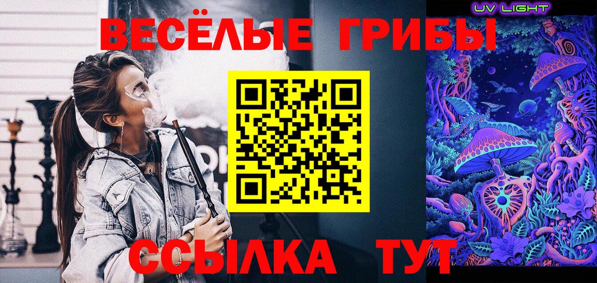 Псилоцибиновые грибы прущие грибы Псков