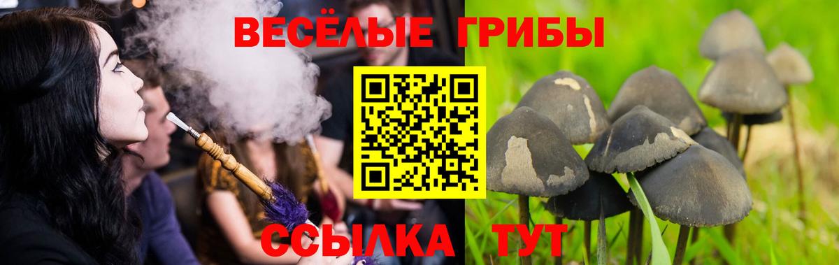 Псилоцибиновые грибы Magic Shrooms  Вход с VPN  Псков 